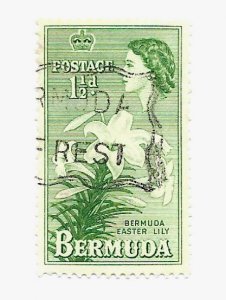 Bermuda 1953 - U - Scott #145 *