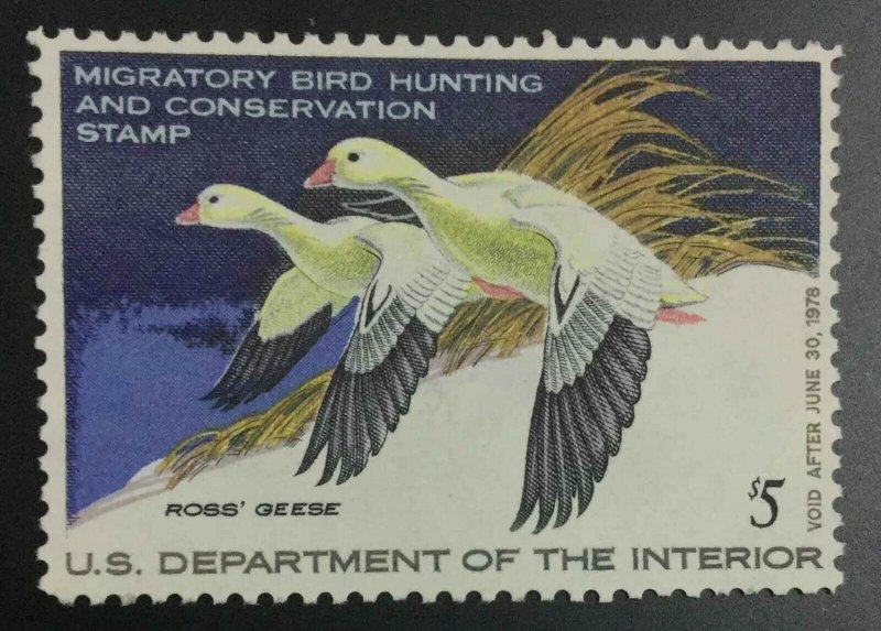 MOMEN: US STAMPS #RW44 DUCK MINT OG NH LOT #53541