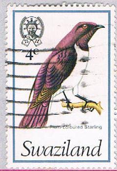 Swaziland 247 Used Starling (BP25525)