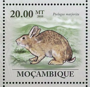 Rabbits Stamp Oryctolagus Cuniculus Lepus Capensis S/S MNH #3548-3553