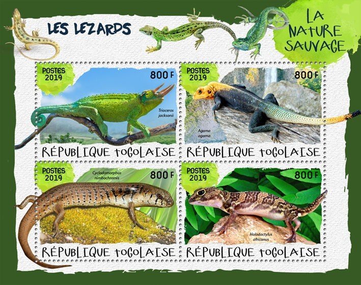 TOGO - 2019 - Lizards #1 - Perf 4v Sheet - Mint Never Hinged