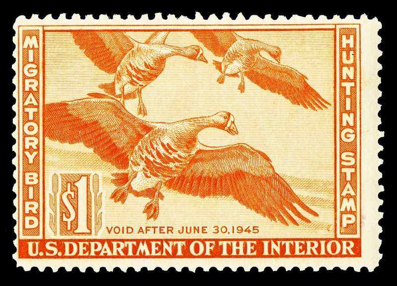 Scott RW11 1944 $1.00 Federal Duck Stamp Mint Fine OG Cat $45