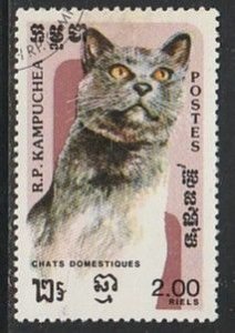 1985 Cambodia - Sc 594 - used VF - 1 single - Cats