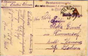 Austria Soldier's Free Mail 1917 K.u.K. Feldpostamt 387 Feldpost Card to Wien...