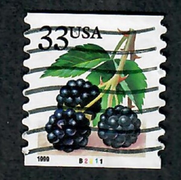 US #3304 Berries Used PNC Single plate #B2211