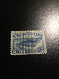 Newfoundland sc 55 u