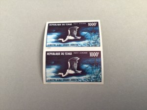 Chad Rare Egret Bird 1971 Airmail mint never hinged imperf stamps block 65052