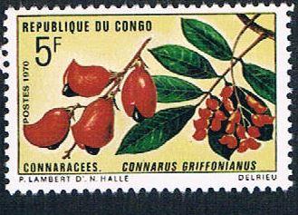 Congo PR 225 MLH Flower  (BP443)