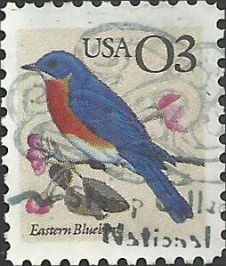 # 2478 USED EASTERN BLUEBIRD    