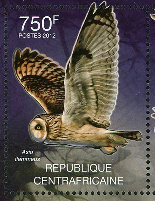 Owls Stamp Asio Flammeus Asio Otus Strix Varia S/S MNH #3636 / Bl.942 