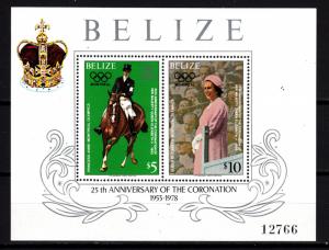 Belize souv. sheet 438 mnh