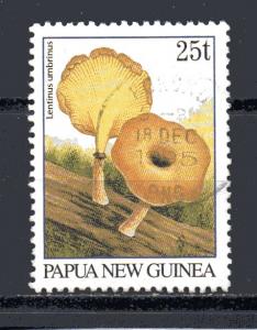 Papua New Guinea 875A used