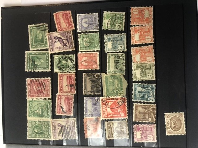 W.W. Small Stamp Stock  Book Lots Of Very Old Stamps Might Find Some Gems