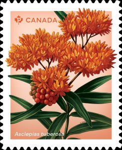 BUTTERFLY MILKWEED, SPOTTED BEEBALM wildflowers = Booklet upper pair Canada 2024