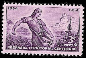 # 1060 MINT NEVER HINGED NEBRASKA TERRITORY