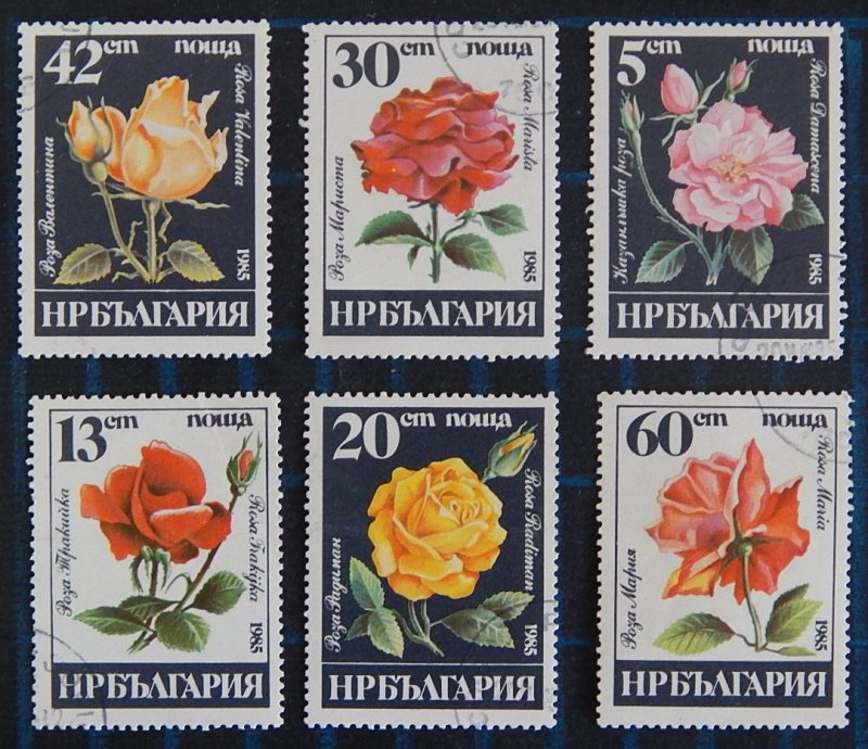 Flowers, Bulgaria, (2563-Т)