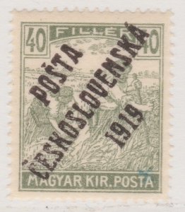 Czechoslovakia 1919 Optd 40f MNH** Stamp A30P10F41323-