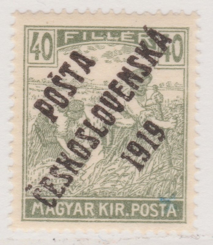 Czechoslovakia 1919 Optd 40f MNH** Stamp A30P10F41323-