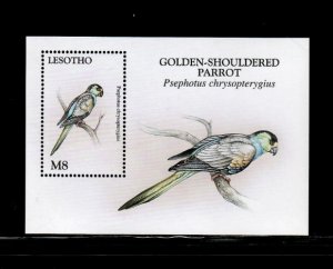 Lesotho 1998 - Wild Animals Birds - Souvenir Stamp Sheet - Scott #1095 - MNH