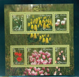 Romania #4817b (2006 Tulips sheet of six) VFMNH CV $7.50