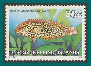 Cocos  1980 Wrasse, MNH