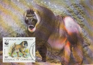 Cameroun 1988 Maxicard Sc #843 30fr Drill baboon WWF