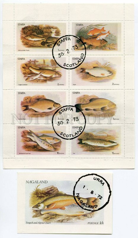 266506 NAGALAND 1972 used stamps set+S/S FISHES