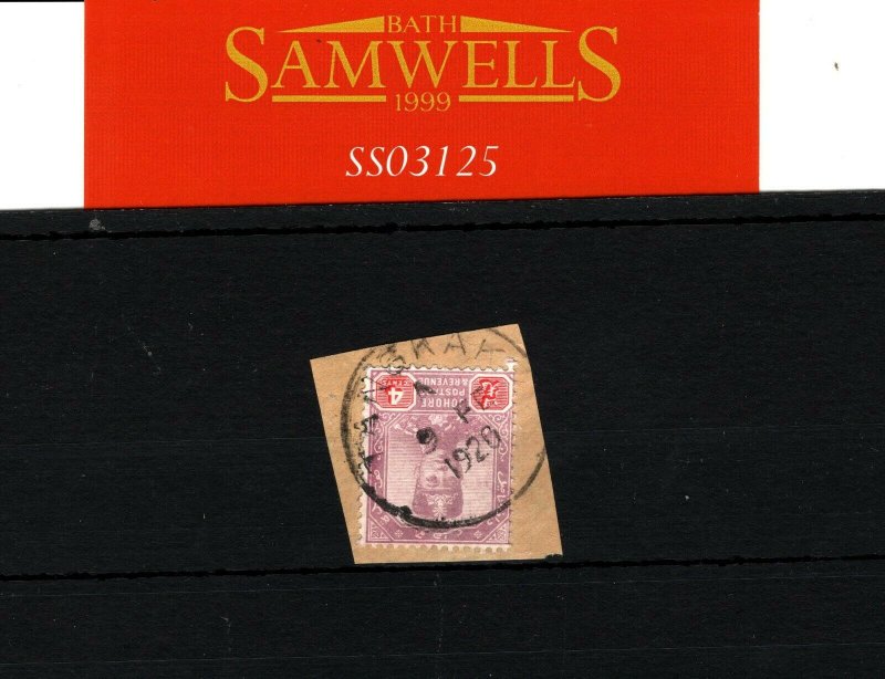 Malaya Postmark JOHORE *Tangkak* 1920 Piece Scarce CDS {samwells-covers}SS3125