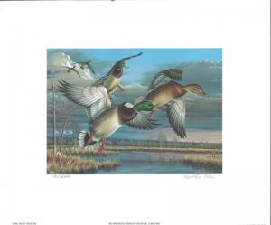 WASHINGTON #10 1995 STATE DUCK STAMP PRINT MALLARDS  by Cynthie Fisher