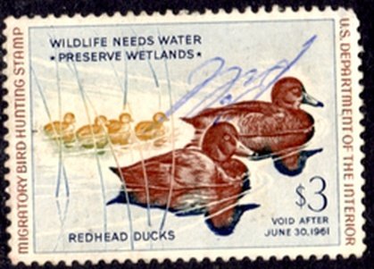 US Stamp #RW27 Hunter Signed Fabulous Family of Redhead Ducks