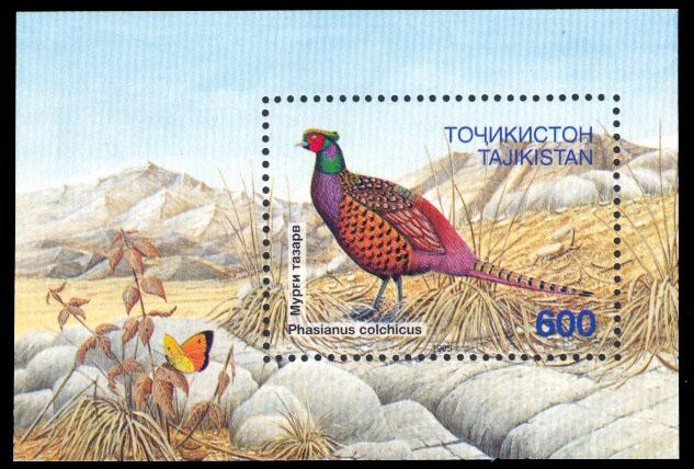 Tajikistan 1996 Scott #90 Mint Never Hinged