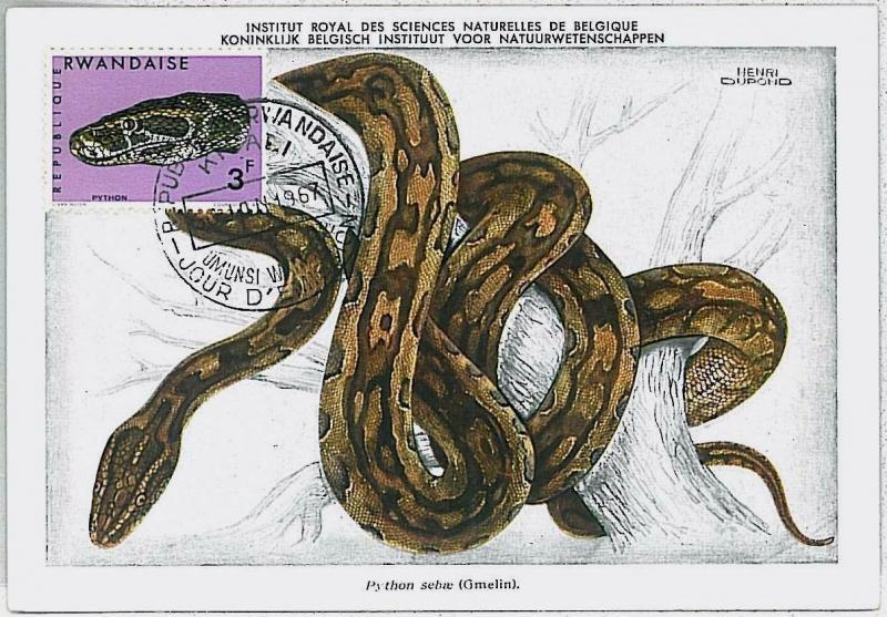 MAXIMU CARD - Fauna REPTILES snake : RWANDA 1967  #7