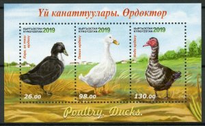 Kyrgyzstan Birds on Stamps 2019 MNH Poultry Ducks 3v M/S