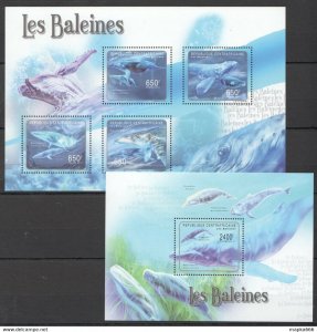 2011 Central Africa Fauna Marine Life Les Baleines Whales Bl+Kb ** Ca1027