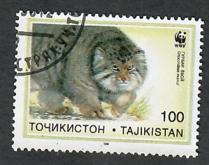 Tajikistan #92 Cat used single