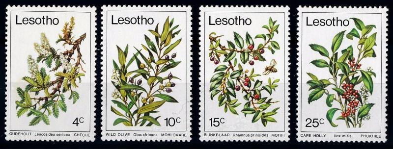 [66293] Lesotho 1979 Flora Plants Olive  MNH