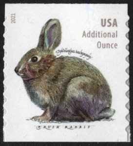 SC#5545 (20¢) Brush Rabbit Coil Single (2021) SA