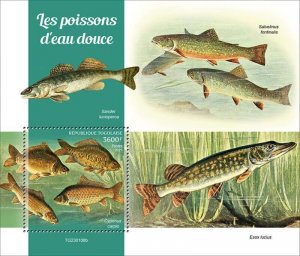 Togo - 2023 Freshwater Fish, Common Carp - Stamp Souvenir Sheet - TG230108b