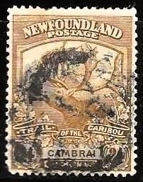 Newfoundland 125 Used