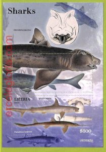 B0515 - LIBERIA - MISPERF ERROR Stamp Sheet - 2022 - Sharks, Marine Life-