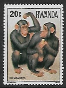 Rwanda # 857 - Chimpanzees - MNH.....{KGr22}