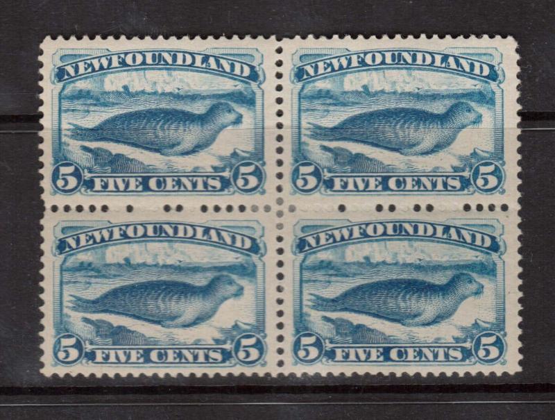 Newfoundland #54 XF Mint Scarce Block **With Certificate**