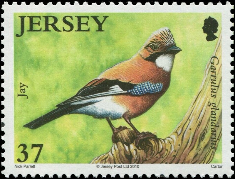 Great Britain Jersey 2010 Sc 1429-1434 Birds Jay Woodpecker Treecreeper CV $9.90