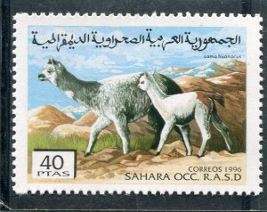 Western Sahara 1996 LIAMA 1 value Perforated Mint (NH)