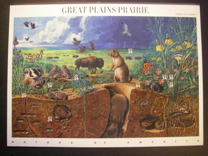 Scott 3506, 34c Great Plains Prairie, Nature of America, 3rd in series, MNH