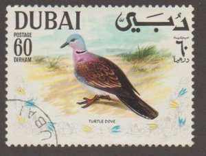 Dubai - Mi328 Turtle Dove