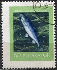 Poland; 1958: Sc. # 811: Used CTO Single Stamp