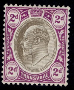 SOUTH AFRICA - Transvaal EDVII SG262, 2d black & purple, LH MINT. Cat £32.