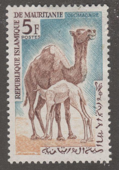 Mauritania 138 Dromdaire Camels 1963