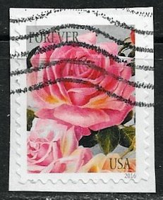 US ~ Scott # 5047 ~ Used on paper ~ Botanical Art